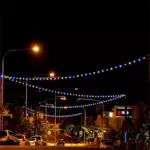 Festoon Lights Harness With 72 Lampholders