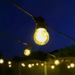 LED Clear Bulb Festoon Party Lights