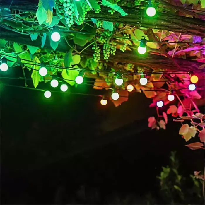 LED Multi Coloured Festoon Lights