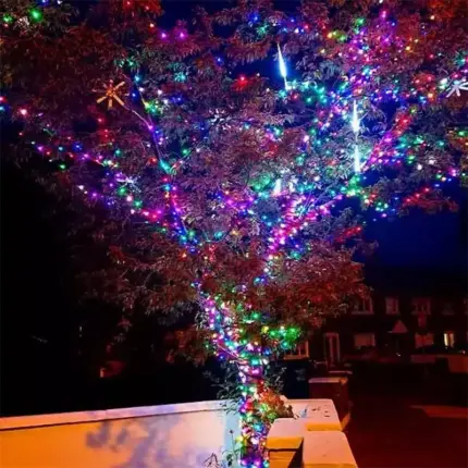 Outdoor LED Colour Changing Christmas Lights