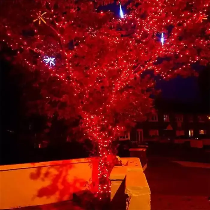 Outdoor LED Red Christmas Lights