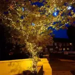 Outdoor LED Warm White Christmas Lights