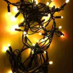 Outdoor LED Warm White Christmas Lights