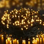 1000 warm white multi function Christmas lights for indoor and outdoor use.