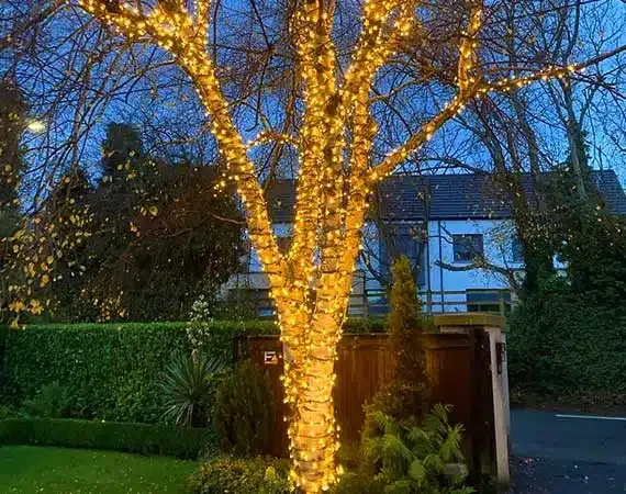 Outdoor Christmas lights for Ireland's homes